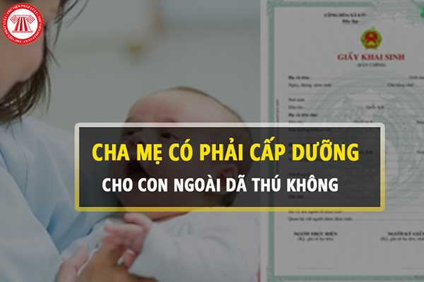 Cấp dưỡng cho con ngoài giả thú