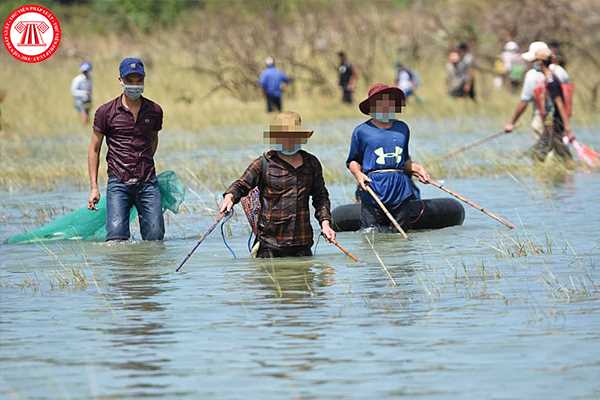 Sử dụng công cụ kích điện để khai thác thủy sản