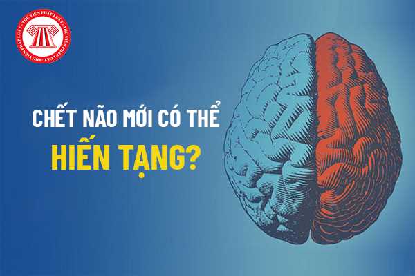 Có phải chết não mới có thể hiến tạng?