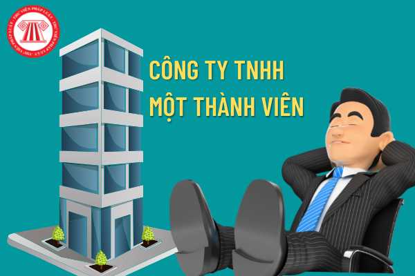 Công ty TNHH một thành viên