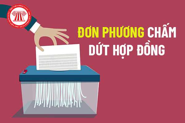 chấm dứt hợp đồng