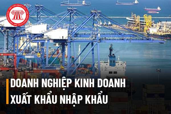 Doanh nghiệp kinh doanh xuất khẩu nhập khẩu 