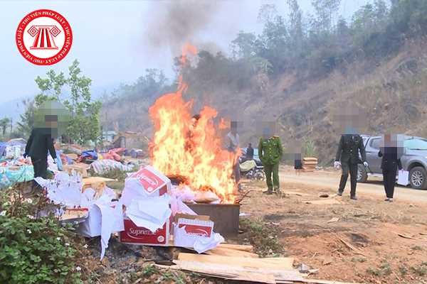 Tiêu hủy vật chứng