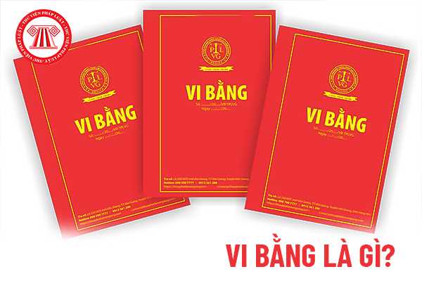 Vi bằng