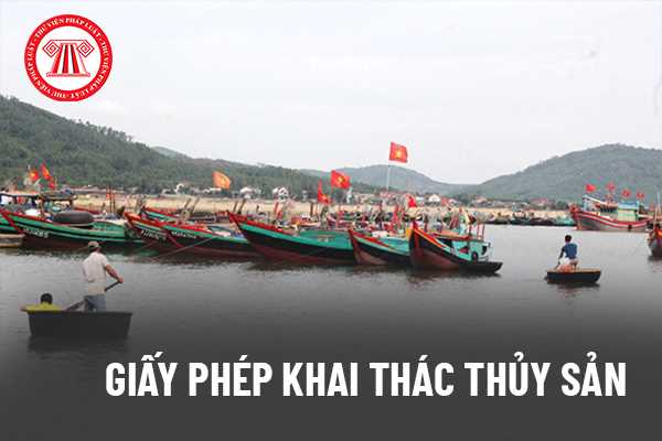 Giấy phép khai thác thủy sản