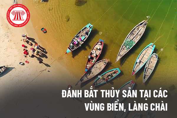 Quang cảnh làng chài