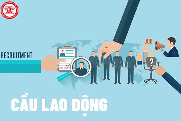 Cách thức thu thập thông tin về cầu lao động được tiến hành như thế nào?