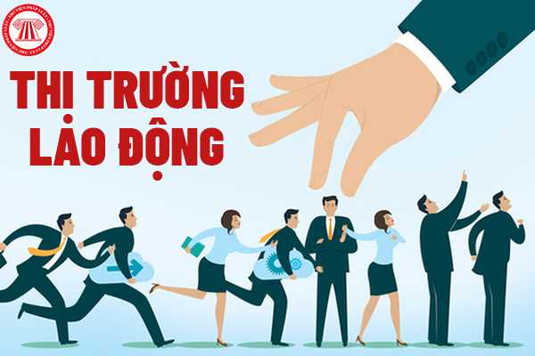 Thu thập, lưu trữ, tổng hợp thông tin thị trường lao động cần lập kế hoạch như thế nào?