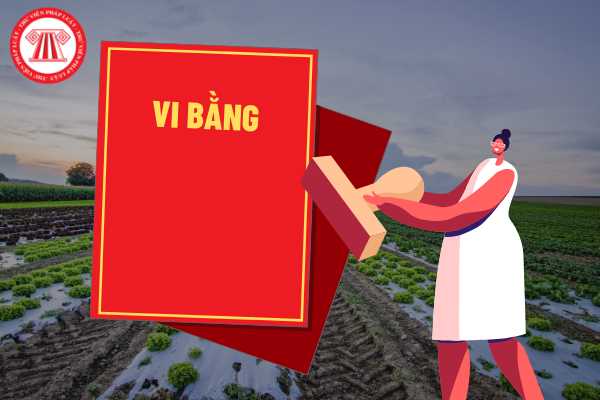 Vi bằng về ghi nhận hành vi giao nhận đất có giá trị như văn bản công chứng, chứng thực hợp đồng chuyển nhượng quyền sử dụng đất không? Mẫu vi bằng được quy định như thế nào?