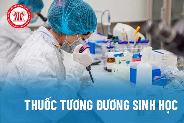 Học là gì trong giáo dục và hệ thống giáo dục hiện nay?
