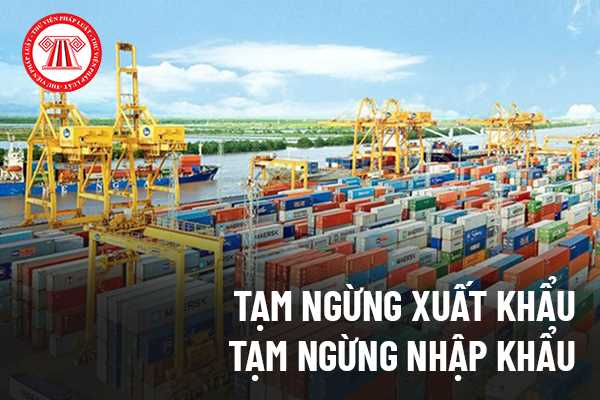 Xuất khẩu, nhập khẩu hàng hóa là gì?