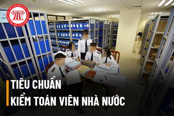 kiểm toán viên nhà nước