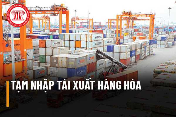 Tìm hiểu ngay tạm nhập tái xuất là gì để phát triển kinh doanh thành công