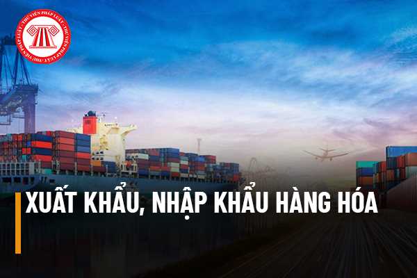 Nhập khẩu hàng hóa là gì?