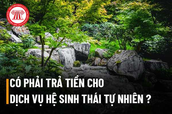 Có bắt buộc phải trả tiền sử dụng cho dịch vụ hệ sinh thái tự nhiên không?