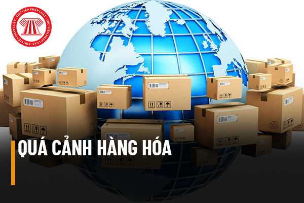 Ai có thể sở hữu hàng hóa trong quá cảnh?
