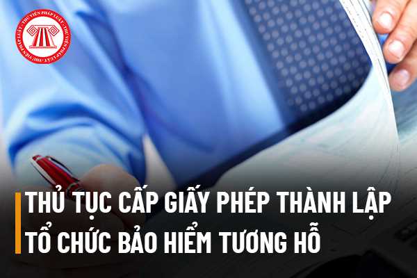 Thủ tục cấp Giấy phép thành lập đối với tổ chức bảo hiểm tương hỗ thực hiện như thế nào? Tổ chức bảo hiểm tương hỗ tổ chức và hoạt động theo nguyên tắc nào?