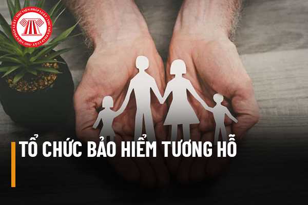 Tổ chức bảo hiểm tương hỗ là gì? Tổ chức bảo hiểm tương hỗ được thành lập, tổ chức và hoạt động như thế nào theo quy định của pháp luật?