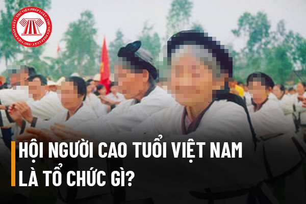Hội Người cao tuổi Việt Nam là tổ chức gì? Địa vị pháp lý của Hội ...