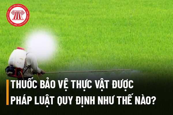 Thuốc bảo vệ thực vật ﻿