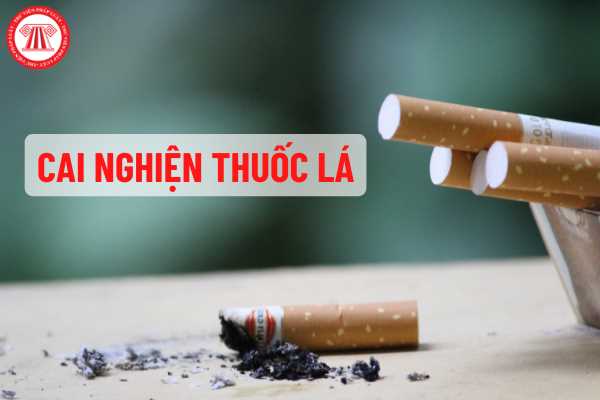 Cai Nghiện Thuốc Lá Là Gì Điều Kiện Tổ Chức Hoạt động Cai Nghiện Tư