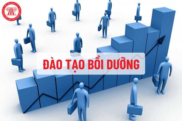 Đào tạo bồi dưỡng chuyên viên chính và thi nâng ngạch lên chuyên viên chính﻿