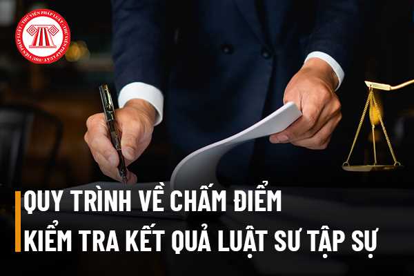 Quy trình chấm điểm kiểm tra kết quả tập sự hành nghề luật sư