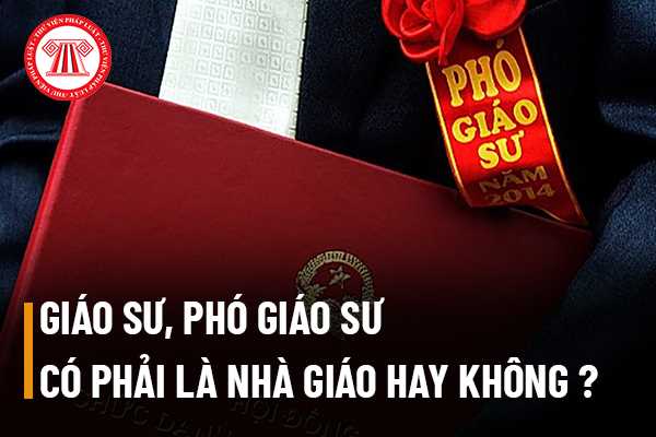 Giáo sư, Phó giáo sư 