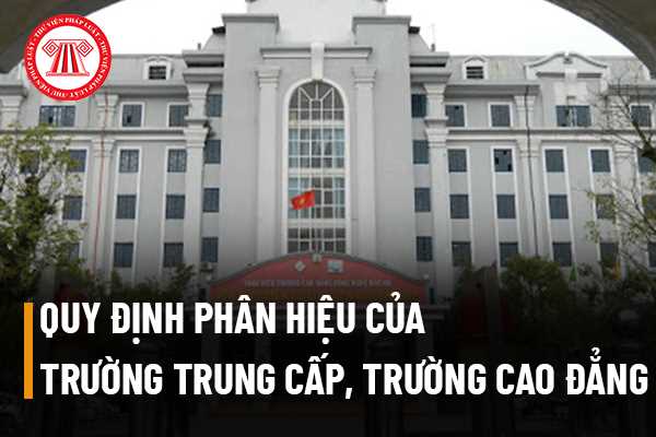 Trường trung cấp 