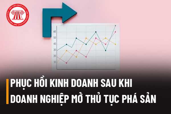 Giai đoạn phục hồi kinh doanh sau khi doanh nghiệp mở thủ tục phá sản ﻿