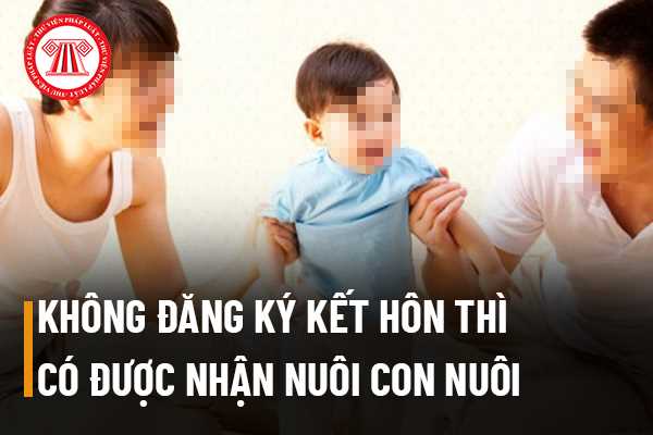 Sống chung nhưng không đăng ký kết hôn thì có được nhận nuôi con nuôi không?