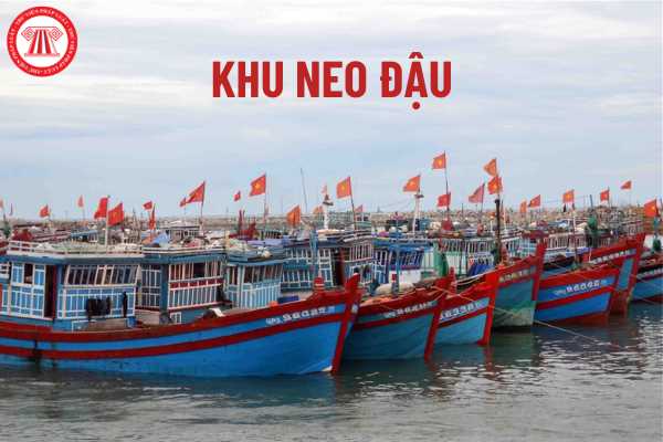 Chủ khu neo đậu