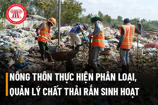 Hộ gia đình, cá nhân ở nông thôn phải thực hiện phân loại, quản lý chất thải rắn sinh hoạt như thế nào?