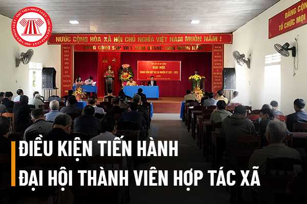 Đại hội thành viên