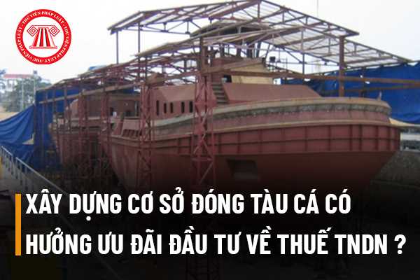 Đầu tư xây dựng cơ sở đóng tàu cá và đóng tàu