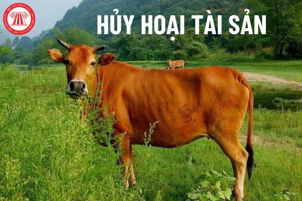 Hủy hoại tài sản 