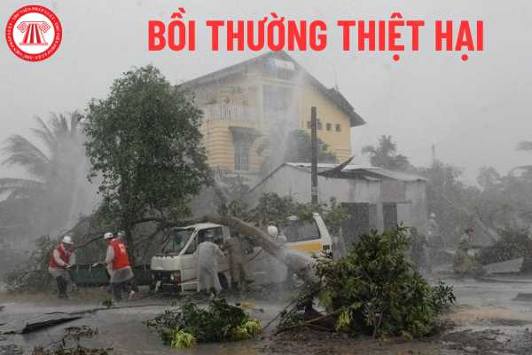 Trách nhiệm bồi thường thiệt hại