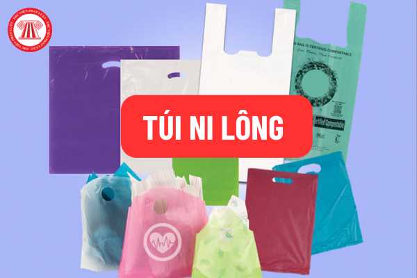 Túi ni lông sản xuất hàng thành phẩm xuất khẩu có phải chịu thuế Bảo vệ môi trường không?