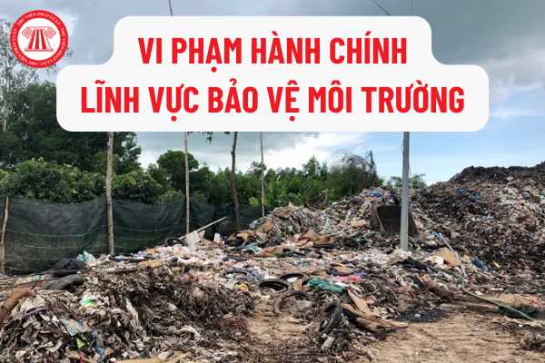 Phạt Vi Phạm Hành Chính Về Môi Trường Là Gì? Khám Phá Chi Tiết và Tầm Quan Trọng