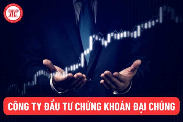 Công ty đầu tư chứng khoán đại chúng