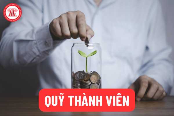 Giải thể quỹ thành viên