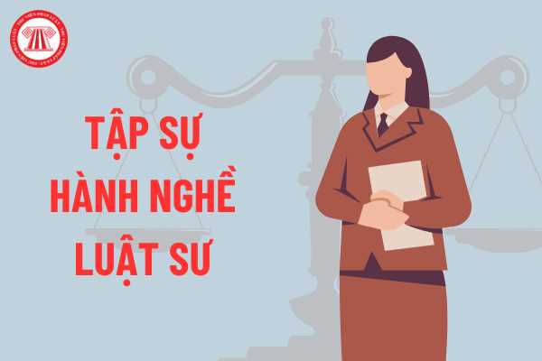 Quyền và nghĩa vụ của người tập sự hành nghề luật sư