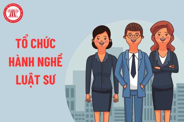 Tổ chức hành nghề luật sư nước ngoài tại Việt Nam