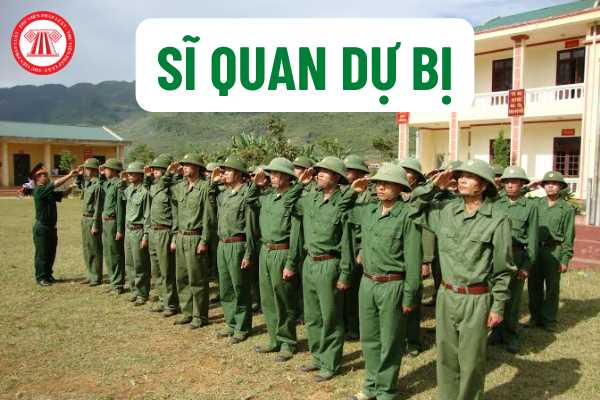 Sĩ quan dự bị