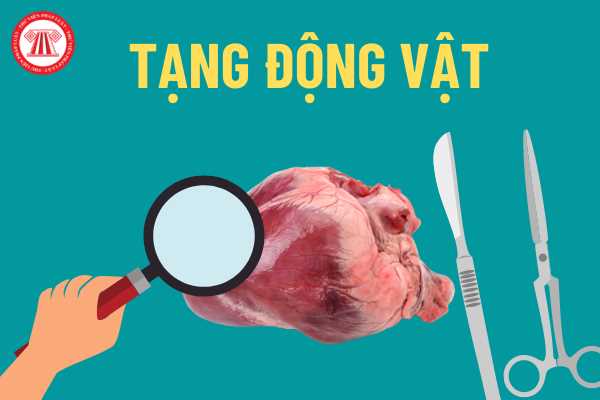 Tạng động vật