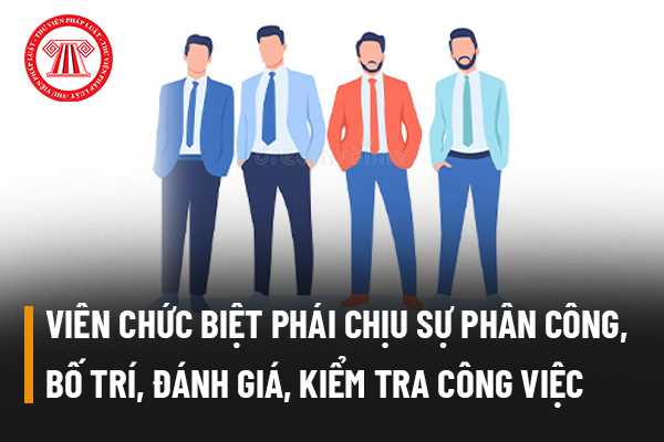 Viên chức biệt phái chịu sự phân công, bố trí, đánh giá, kiểm tra công việc của cơ quan nào?