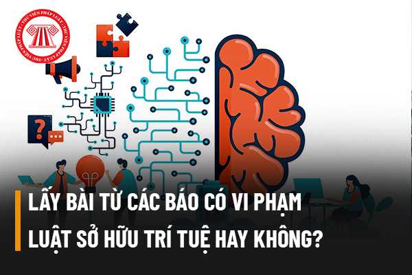 Vi phạm luật sở hữu trí tuệ 