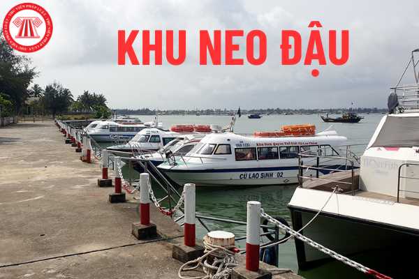 Khu neo đậu 