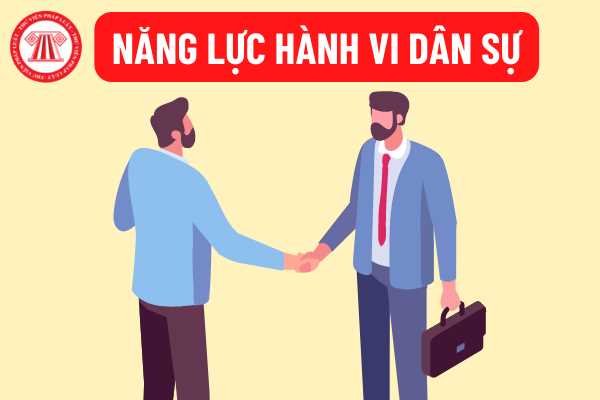 Năng lực hành vi dân sự 