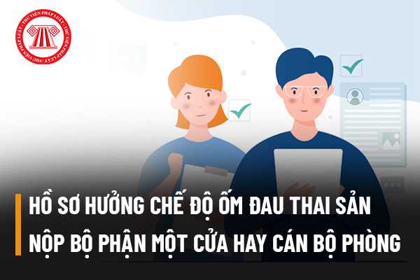 Hồ sơ hưởng chế độ ốm đau thai sản mình nộp Bộ phận Một cửa hay cán bộ phòng thu?